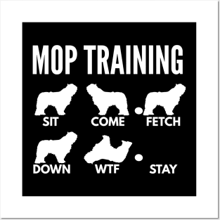 Mop Training Komondor Tricks Posters and Art